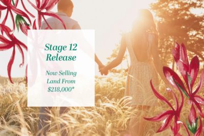 stage-12-release