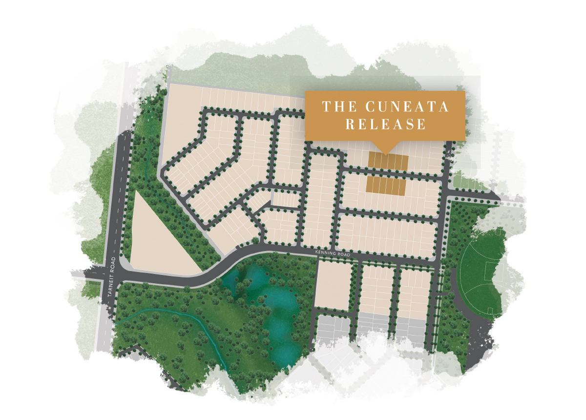 the-cuneata-release-is-on-sale