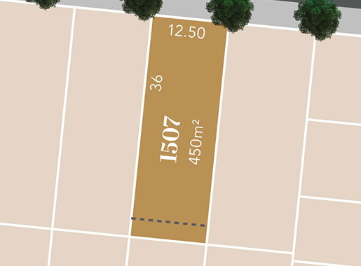 Exclusive Packages & Construction Updates